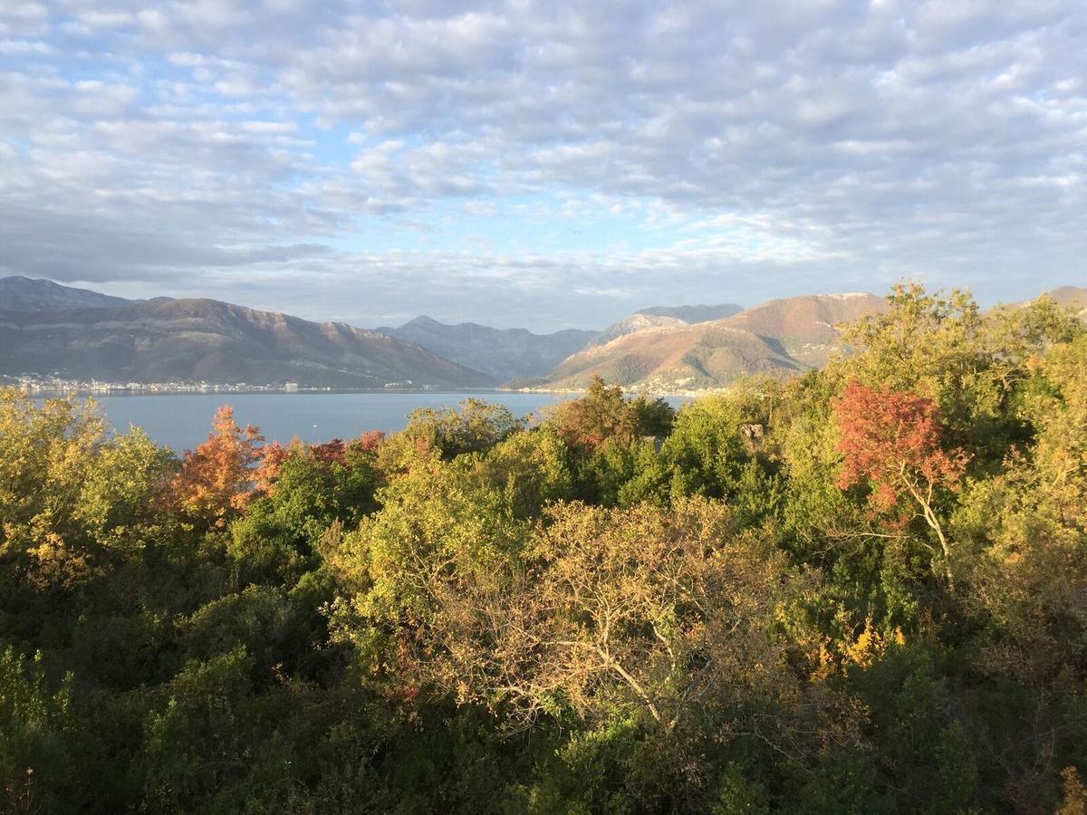 Patrick House Tivat Exterior foto